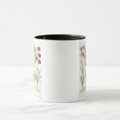 カーネーション: 1.Caryophyllus多重floreのalbo; 2 マグカップ (中央)