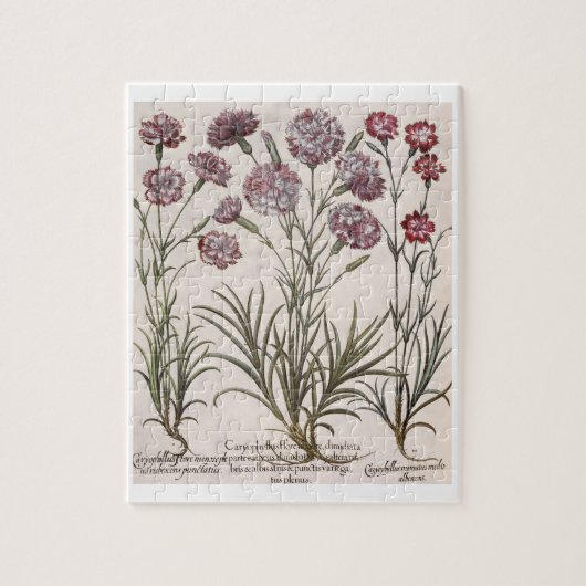 カーネーション: 1.Caryophyllus floreのmajore; 2. Caryop ジグソーパズル (縦)