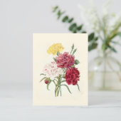 カーネーションbyピエール・ジョセフ・レッドテ ポストカード (スタンド正面)