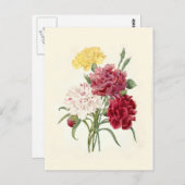 カーネーションbyピエール・ジョセフ・レッドテ ポストカード (正面/裏面)