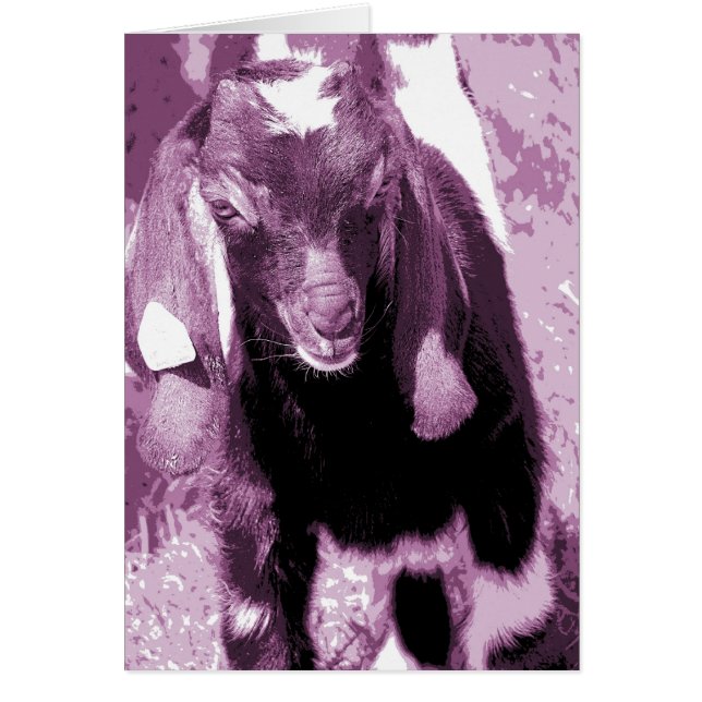 カービン・イン・パープル (正面)