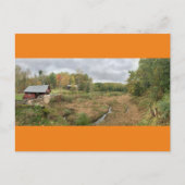 カービーミルポンド ポストカード (正面)