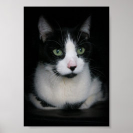 カービー ポスター