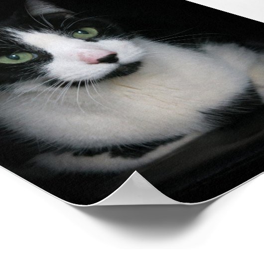 カービー ポスター (角)