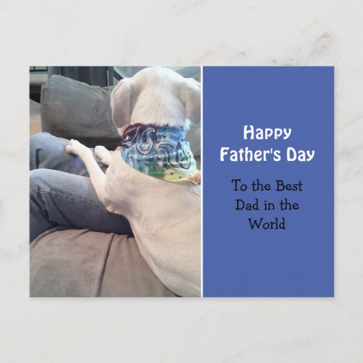 カーフブルーを着た甘い白カラフルい子犬 ポストカード (正面)