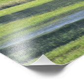 カーフ付きバイソンイエローストーン国立公園 フォトプリント (角)