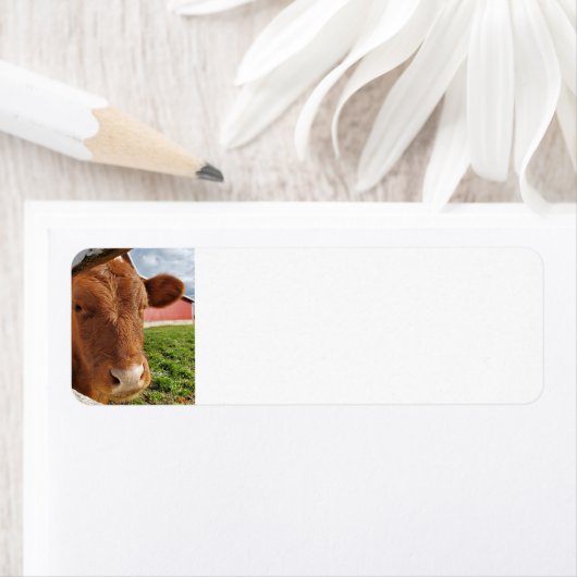 カーフ ラベル (インサイチュ)