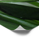 カーブイカラリリープリント ポスター (角)