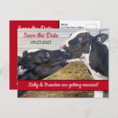 カーブキスをするウエディング日付を保存 ポストカード (正面/裏面)