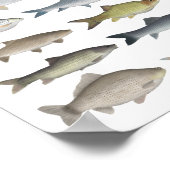 カープファミリーグループ ポスター (角)