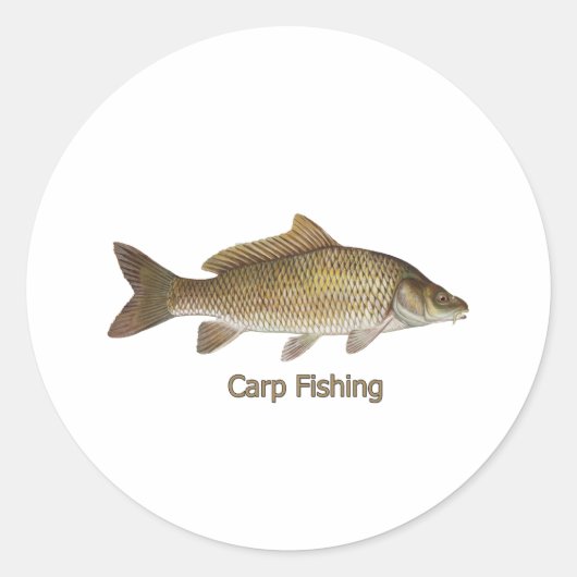 カープ魚釣り ラウンドシール (正面)