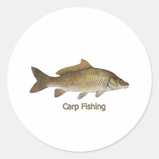 カープ魚釣り ラウンドシール