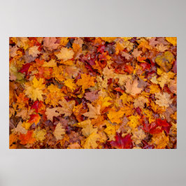 カーペカラフルット、オンタリオ州、カナダ ポスター