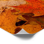 カーペカラフルット、オンタリオ州、カナダ ポスター (角)