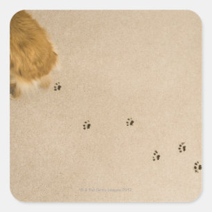 カーペットのプリント スクエアシール