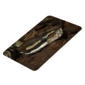 カーペットパイソン マグネット (左側)