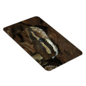 カーペットパイソン マグネット (右側)