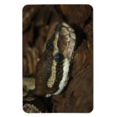 カーペットパイソン マグネット (縦)