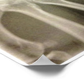 カーペットX線ポスター ポスター (角)