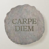 カーペディエムストーンラウンドポリ装飾用クッション ラウンドクッション (裏面)