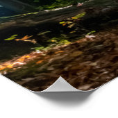 カーペディエム光沢のある葉カラフルの森の夕日 ポスター (角)