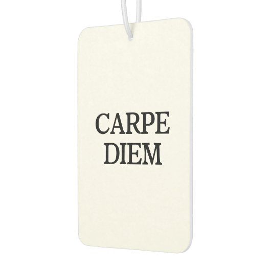 カーペディエム白い車のエアーフレッシュナー カーエアーフレッシュナー (左)