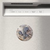 カーボンボール(アルディニア・コンセントリカ)キノコ マグネット (インサイチュ (食洗機))