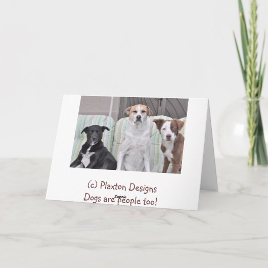 カーボーイ・ハットを持つ2匹の愛情深い犬の写真 カード (裏面)