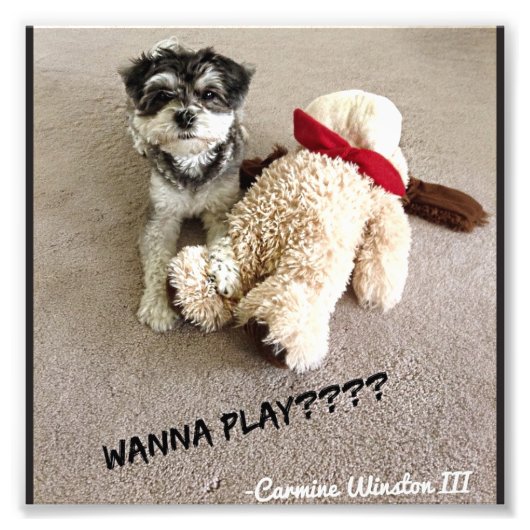 カーマパーソナライズされたイン写真6 x 6 フォトプリント            (正面)