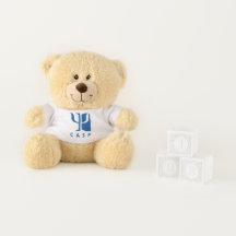 カーミントンザCASP Cub