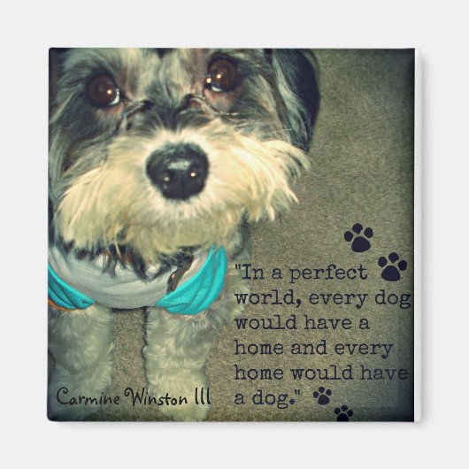 カーミン・ウィンストンIII「完璧な世界で…」 マグネット (正面)