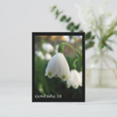 カーメルバレーフラワーズポストカード ポストカード (スタンド正面)