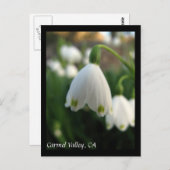 カーメルバレーフラワーズポストカード ポストカード (正面/裏面)