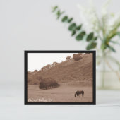 カーメルバレーポストカード ポストカード (スタンド正面)