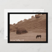 カーメルバレーポストカード ポストカード (正面/裏面)