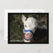 カーメルバレーCAポストカード ポストカード (正面/裏面)