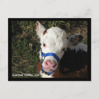 カーメルバレーCAポストカード ポストカード