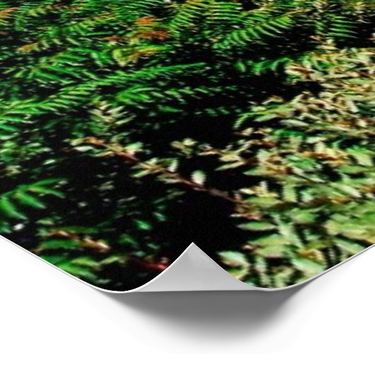 カーメル山のポスターの上のハイファの上のBahai庭園 ポスター (角)