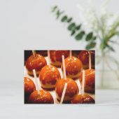 カーメル・アップル ポストカード (スタンド正面)