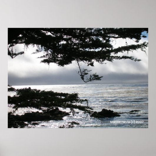 カーメル・イン・シルバー ポスター (正面)