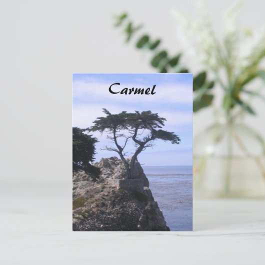 カーメル ポストカード (スタンド正面)