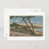 カーメル， CA – ショアビューに沿ったホーム ポストカード (正面/裏面)