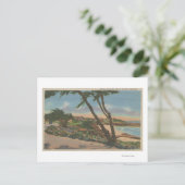 カーメル， CA – ショアビューに沿ったホーム ポストカード (スタンド正面)