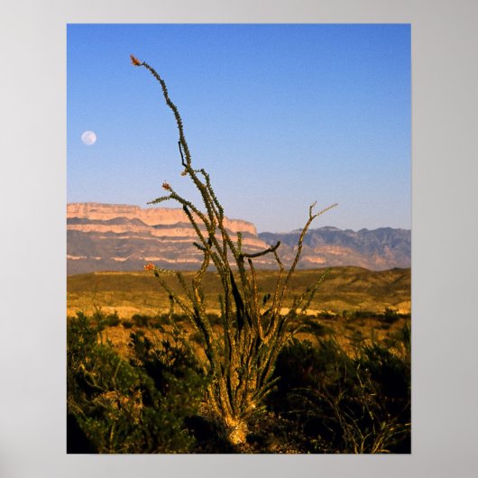 カーメン・オスティーロ ポスター (正面)