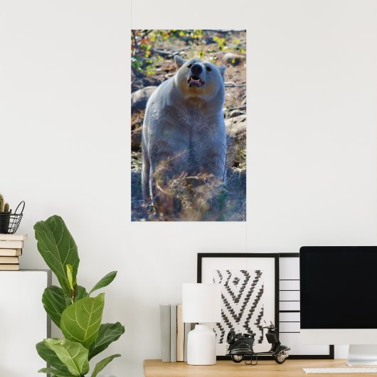 カーモード(スピリット)クマ野生動物のシーンを嗅ぎ取る ポスター (ホームオフィス)