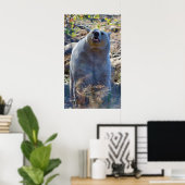 カーモード（スピリット）クマ野生動物のシーンを嗅ぎ取る ポスター (ホームオフィス)