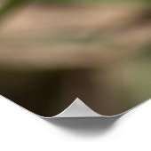 カーリング花びらピンクオキザリスポスター ポスター (角)