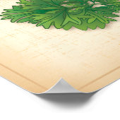 カーリーパセリーハーブ ポスター (角)