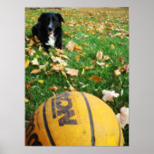 カーリー ポスター (正面)