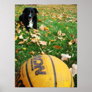 カーリー ポスター